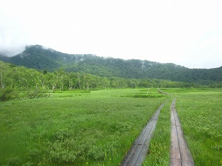 木道と湿原