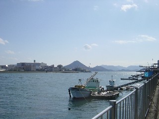 太田川（本川）、南方向