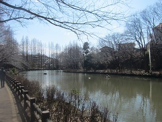 貝柄山公園