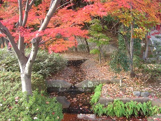 杉山神社近くの紅葉