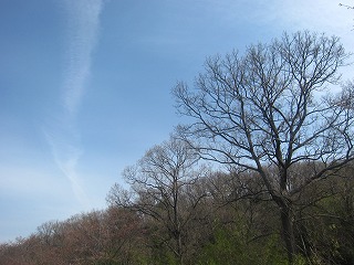 吉見丘陵、早春の風景