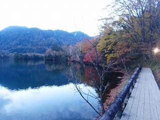湯ノ湖沿いの遊歩道