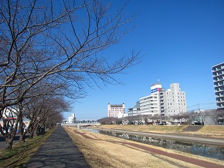 桜川沿いの景観