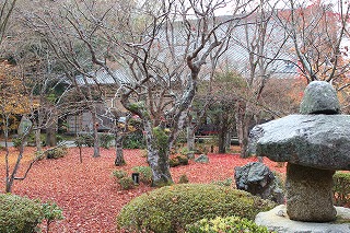 圓光寺の紅葉