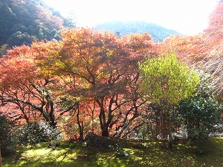 高山寺・石水院から見た紅葉