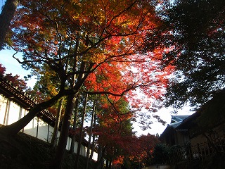 東福寺への参道