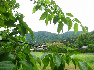 落柿舎前の風景