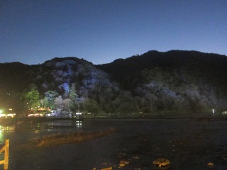 嵐山のライティング