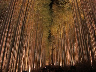 嵯峨野　竹林の道
