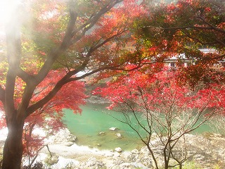 嵯峨野トロッコ列車から観た紅葉