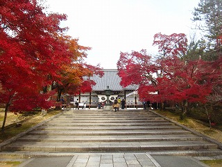 仁和寺・金堂と紅葉