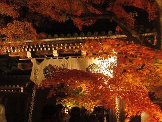 禅林寺・中門の紅葉