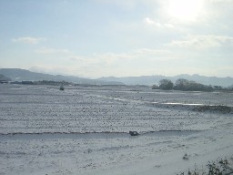 坂町駅付近の景観