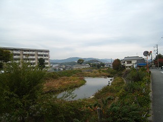勝尾寺川