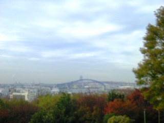 昭和山からの俯瞰