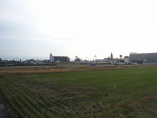 飯塚町の水田