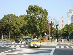 横浜公園入口
