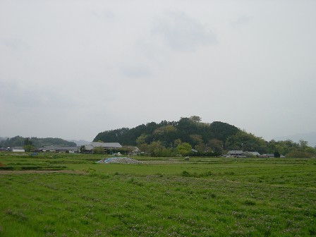 甘橿の丘