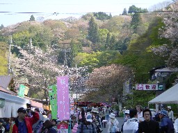 吉野駅から見た下千本桜