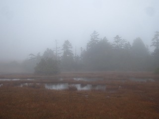 霧に煙る鬼怒沼の風景