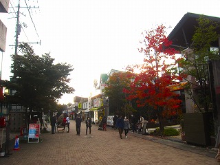 旧軽井沢、晩秋の風景
