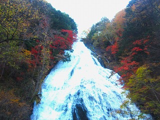 奥日光・湯滝の風景
