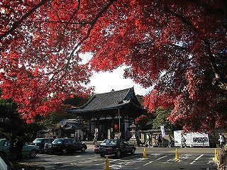石山寺、門前の紅葉の風景