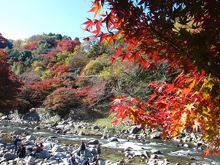 香嵐渓の紅葉の風景