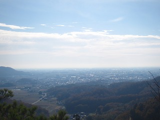 唐沢山城跡から関東平野を見下ろす風景