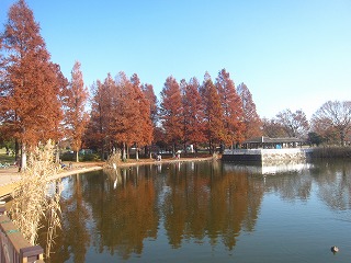 舎人公園、冬の風景
