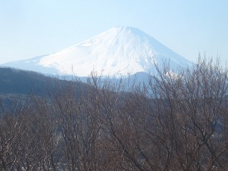 吾妻山公園から見た富士山