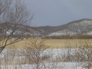 早春の釧路湿原の風景