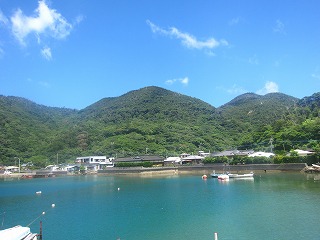 宇検集落の景観