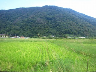 秋名集落