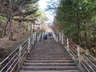 炭PKi