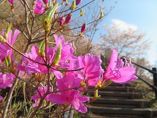 炭
