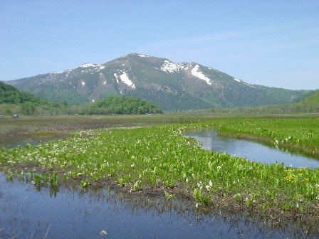 ARobN