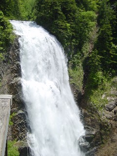 Ȏ