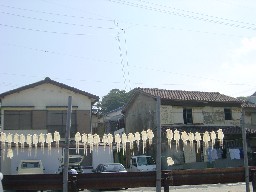 CJĂ܂