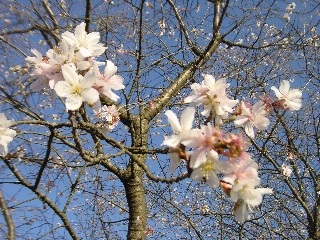 ~AAbvŎBe