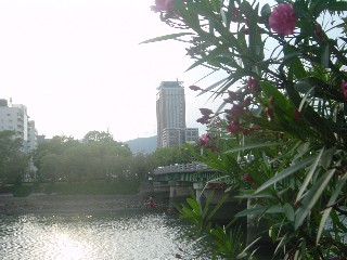 a勴