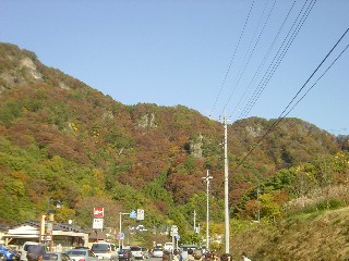 ӂ̎RX