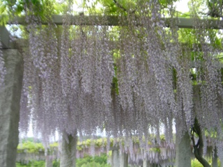 sEӂ̍炭u