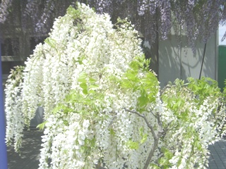 sEӂ̍炭u