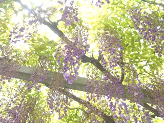 sEӂ̍炭u