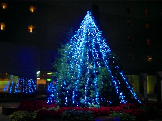 JRsw