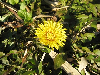 ۂ