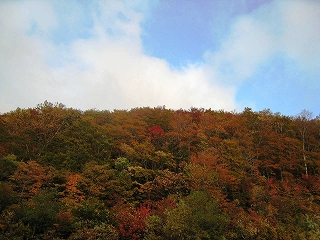 ֒