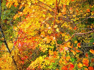 ֒