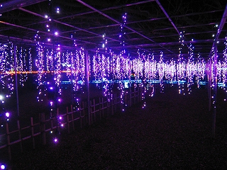 t[p[N